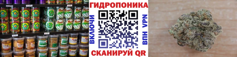 блэк спрут как зайти Майский Cannafood марихуана