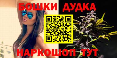 МДПВ Гатчина