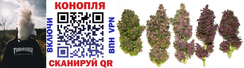 купить закладку  Майский  Бошки Шишки семена 